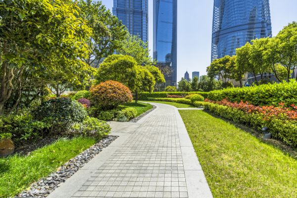 Commercial Landscaping in Allen